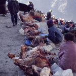 1995Nepal07