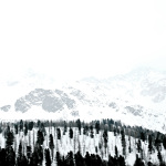 DSCF1275.1