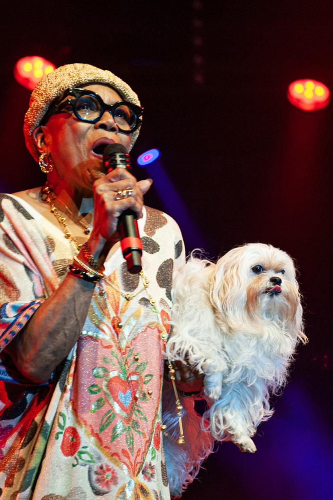Dee Dee Bridgewater Quartet
